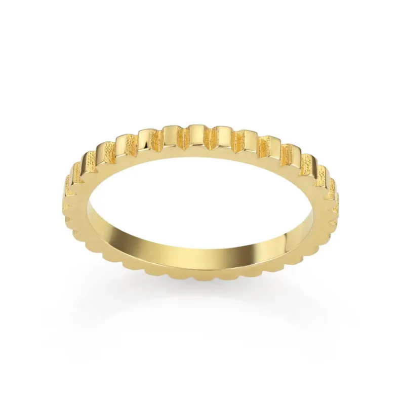 David-Andersen Gullringer-Ring, Striper Gull